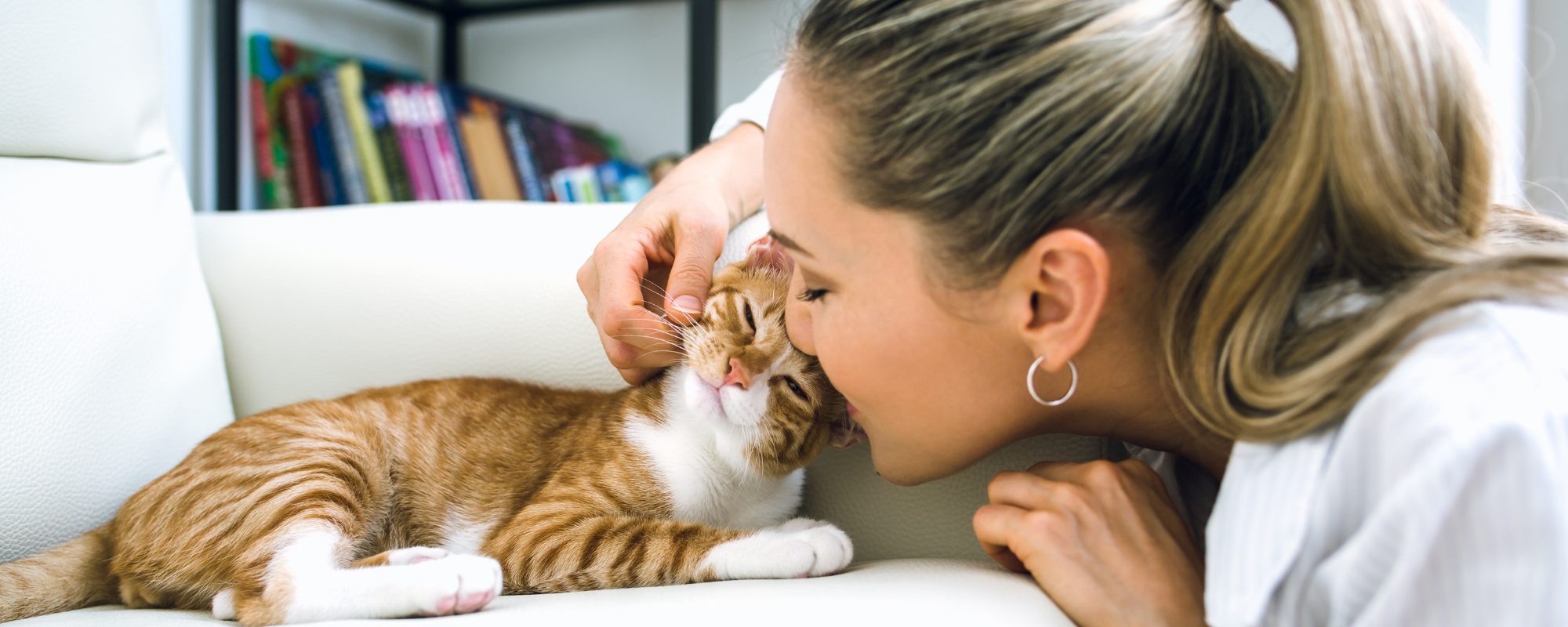 How to effectively deal with Copycats in Business