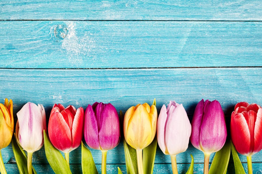 How to Grow an Active Instagram Following - 5 Tips and Tricks How to Grow an Active Instagram Following - 5 Tips and Tricks